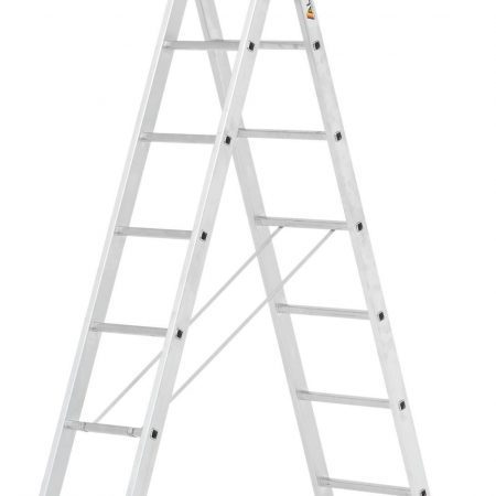 2 Section Combination Ladders