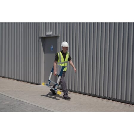 85032_EI_Carrying_Male