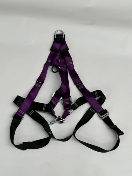 Tetra Full 2-Point Waterproof Body Harness